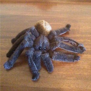 Kosen Tarantula